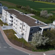 230505_LiB-Seite-Ladenburg_DJI_0519.jpg